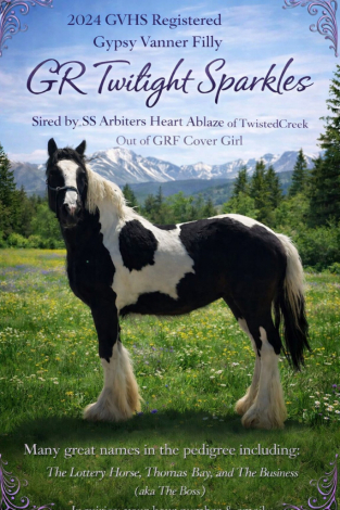 HorseID: 2311146 GR Twighlight Sparkles - PhotoID: 1095954