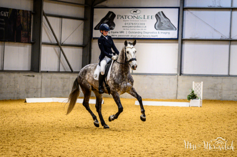 HorseID: 2311169 MONACO DE AIMARAN - PhotoID: 1095986