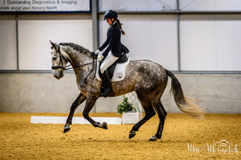 HorseID: 2311169 MONACO DE AIMARAN - PhotoID: 1095990