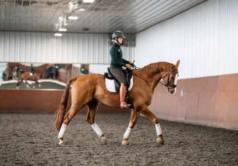 HorseID: 2311174 Time Square - PhotoID: 1095992