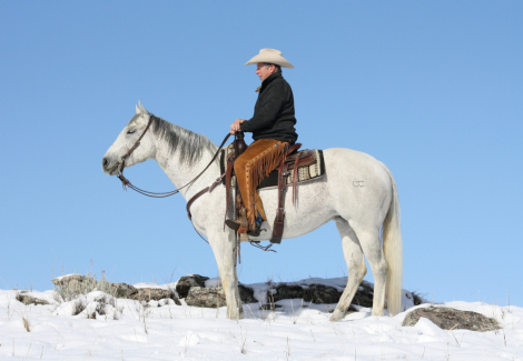 HorseID: 2311180 Theroostersgottagun - PhotoID: 1095998