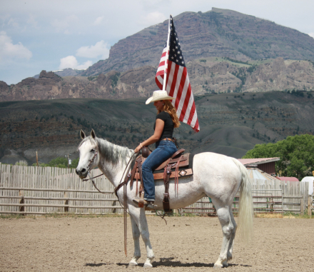 HorseID: 2311180 Theroostersgottagun - PhotoID: 1095999