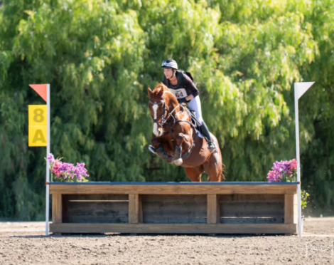 HorseID: 2311197 Sippin N Kissin - PhotoID: 1096019