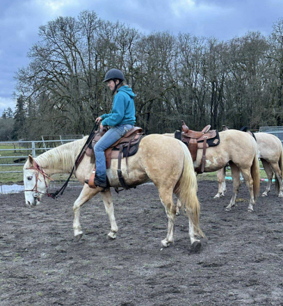 HorseID: 2311240 Cinebars Soft Touch - PhotoID: 1096043