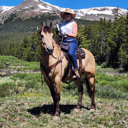 HorseID: 2311246 Goliath - PhotoID: 1096064