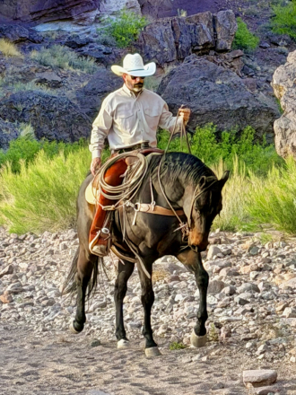 HorseID: 2311253 Raney - PhotoID: 1096068