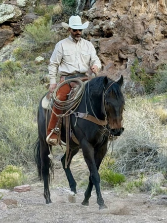 HorseID: 2311253 Raney - PhotoID: 1096069