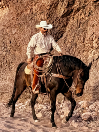 HorseID: 2311253 Raney - PhotoID: 1096070