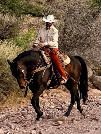 HorseID: 2311253 Raney - PhotoID: 1096071