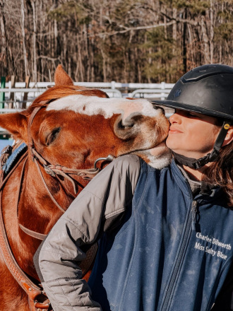 HorseID: 2311265 WHISKEYFIREANDICE - PhotoID: 1096083