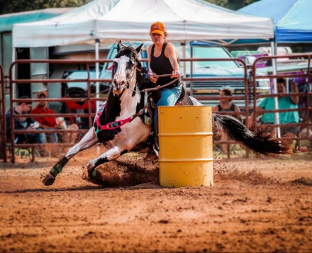 HorseID: 2311270 MISS LIZZY DEE BAR - PhotoID: 1096086