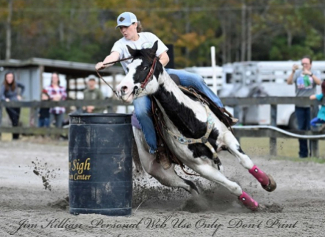 HorseID: 2311270 MISS LIZZY DEE BAR - PhotoID: 1096087