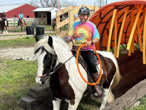 HorseID: 2311282 Flynt Hylls Gypsy Hur Bee - PhotoID: 1096103