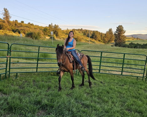 HorseID: 2311289 Apache - PhotoID: 1096121