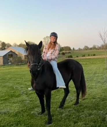 HorseID: 2311299 Blackjack - PhotoID: 1096126