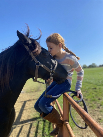 HorseID: 2311299 Blackjack - PhotoID: 1096127