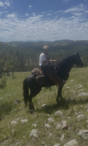 HorseID: 2311299 Blackjack - PhotoID: 1096128