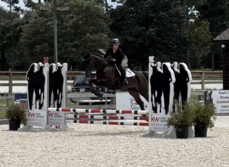 HorseID: 2311330 Summer Breeze - PhotoID: 1096401