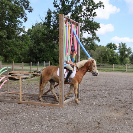 HorseID: 2311334 Wick - PhotoID: 1096236