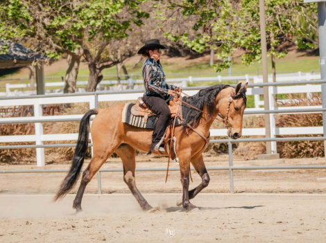 HorseID: 2311335 What The Buck - PhotoID: 1096168