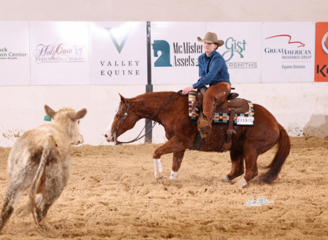 HorseID: 2311338 Rey Quixote Rain - PhotoID: 1096173