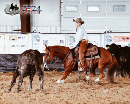 HorseID: 2311338 Rey Quixote Rain - PhotoID: 1096175