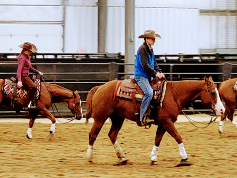 HorseID: 2311338 Rey Quixote Rain - PhotoID: 1096177