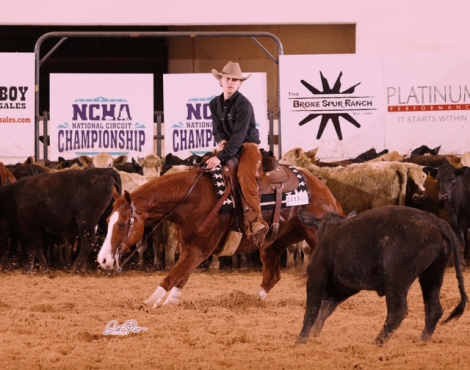 HorseID: 2311338 Rey Quixote Rain - PhotoID: 1096178