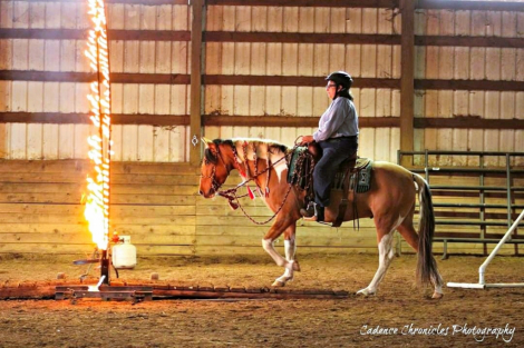 HorseID: 2311349 Kuna - PhotoID: 1096190