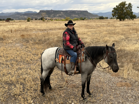 HorseID: 2311363 Willow - PhotoID: 1096211