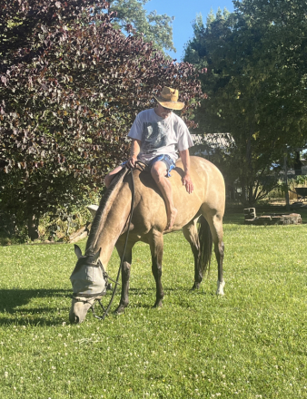 HorseID: 2311365 Ruger - PhotoID: 1096210