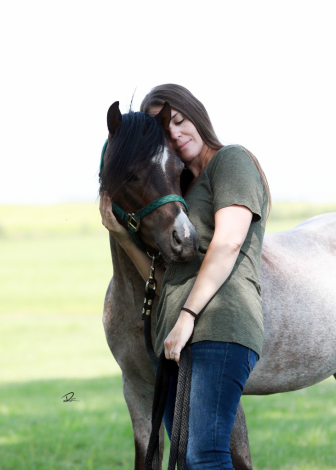 HorseID: 2311367 Rhys Meadows Manchester - PhotoID: 1096216