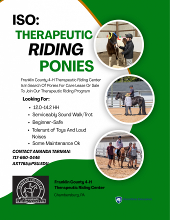 HorseID: 2311370 Searching for Therapy Ponies - PhotoID: 1096220