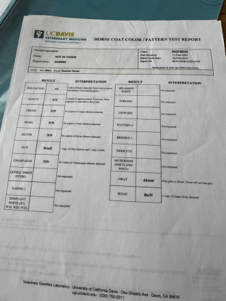 HorseID: 2311393 Hot In Tahoe - PhotoID: 1096248