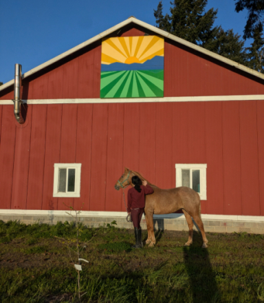 HorseID: 2311398 Peach - PhotoID: 1096269