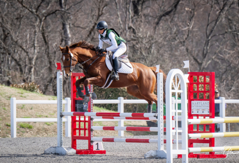 HorseID: 2311416 Cadenza TAL - PhotoID: 1096288