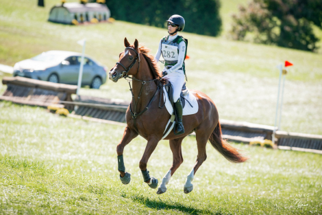 HorseID: 2311416 Cadenza TAL - PhotoID: 1096289