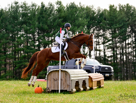 HorseID: 2311416 Cadenza TAL - PhotoID: 1096290