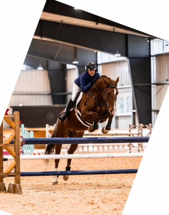 HorseID: 2311416 Cadenza TAL - PhotoID: 1096291