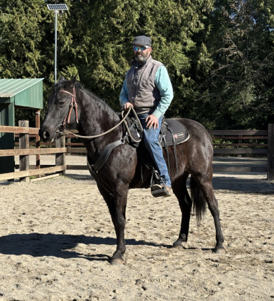 HorseID: 2311420 JFK’s Only Storm - PhotoID: 1096295