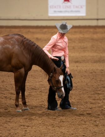 HorseID: 2311423 Executness - PhotoID: 1096344