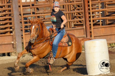 HorseID: 2311430 Tricky - PhotoID: 1096307