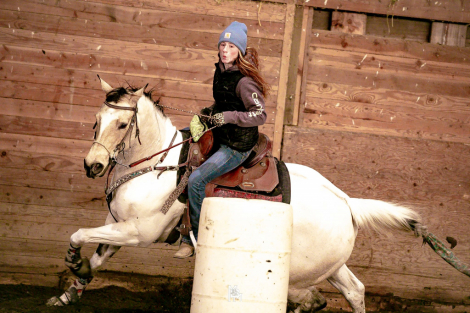 HorseID: 2311436 Will Be Classified - PhotoID: 1096370