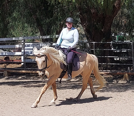 HorseID: 2311440 Odin - PhotoID: 1096322