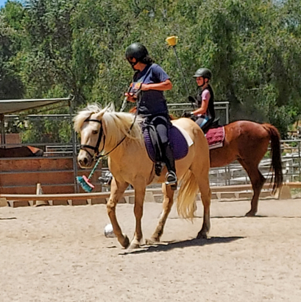 HorseID: 2311440 Odin - PhotoID: 1096323