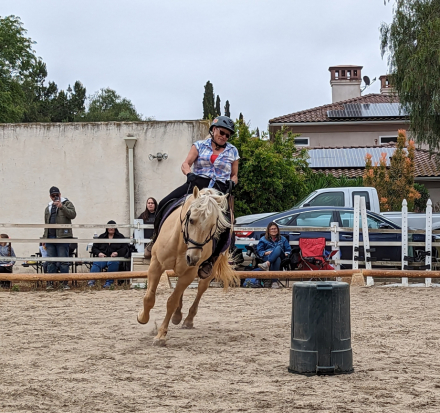 HorseID: 2311440 Odin - PhotoID: 1096324