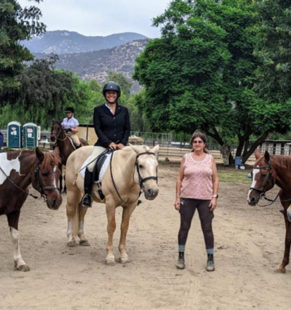 HorseID: 2311440 Odin - PhotoID: 1096326