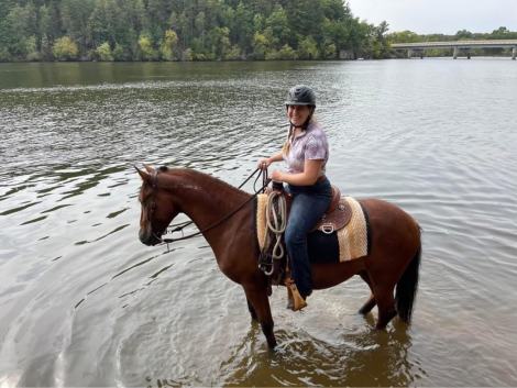 HorseID: 2311476 This Bud’s For You - PhotoID: 1096359