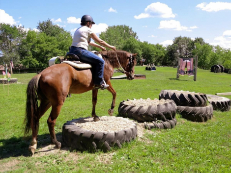 HorseID: 2311476 This Bud’s For You - PhotoID: 1096360