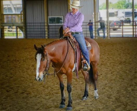 HorseID: 2311476 This Bud’s For You - PhotoID: 1096362